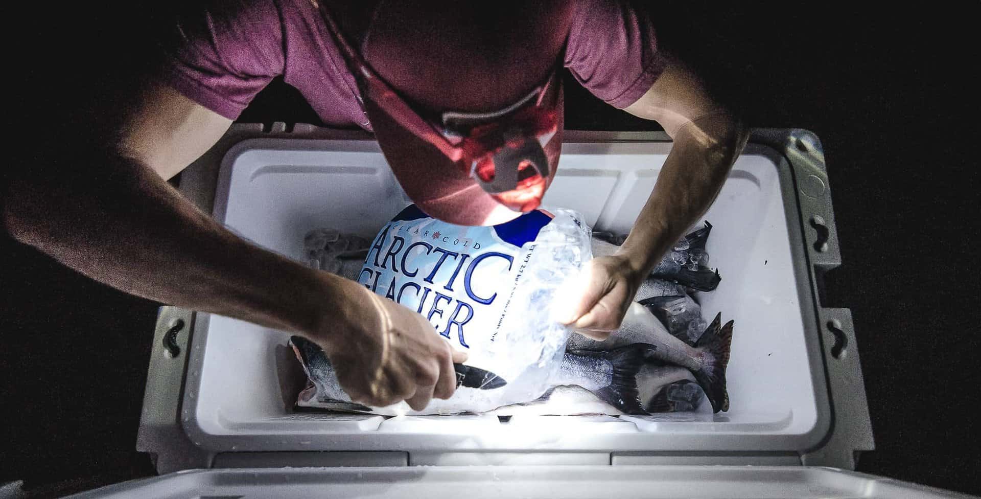 What’s The Best Type of Ice For Coolers? Block ice, Cubed ice, or Dry