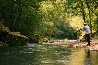 Man fly fishing on bank of stream with many trees on either side of the stream.