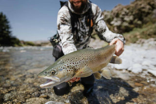 trout fishing in hot weather