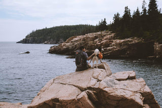 how to avoid crowds at busy national parks