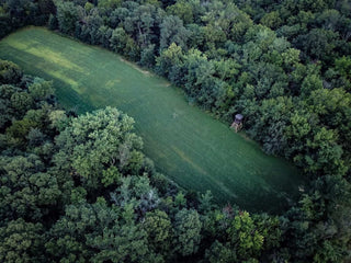 food plots, aerial view