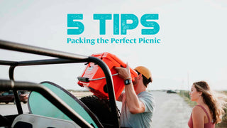 5 picnic tips