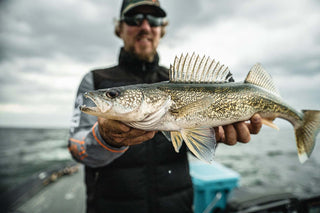 walleye fishing with Matt Peters holding a recently caught Walleye