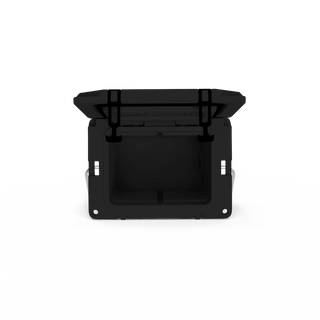 Grizzly 20