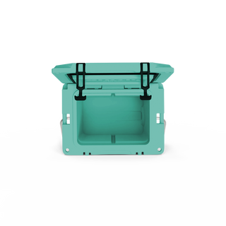 Grizzly 20