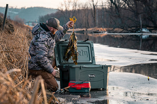 Grizzly Coolers