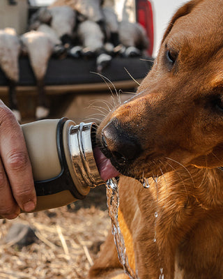 Grizzly Water Bottles