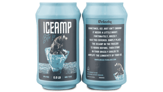 Reusable Ice packs-2 ICEAMPS one facing forward and second showing back label