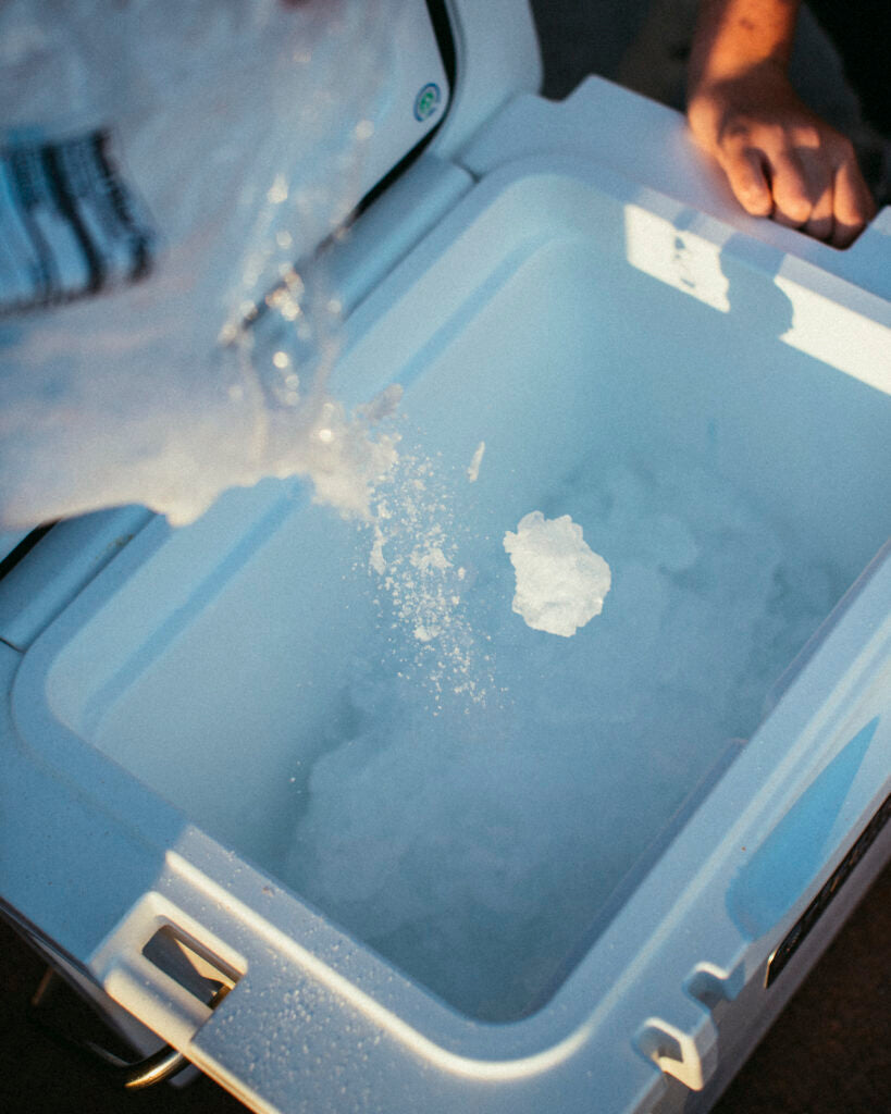 Grizzly cooler ice bath