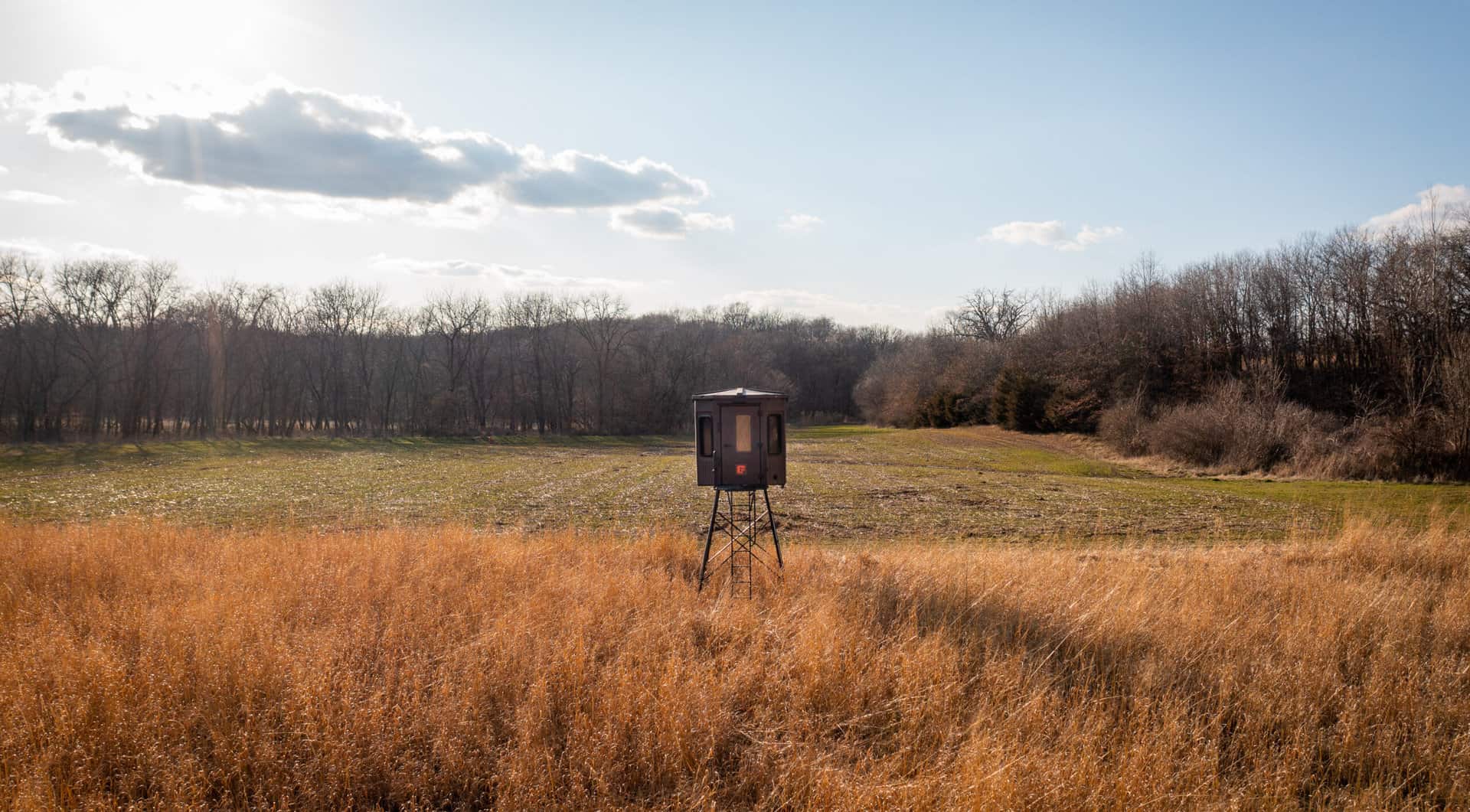 Optimizing Food Plots for Healthy Deer Habitats